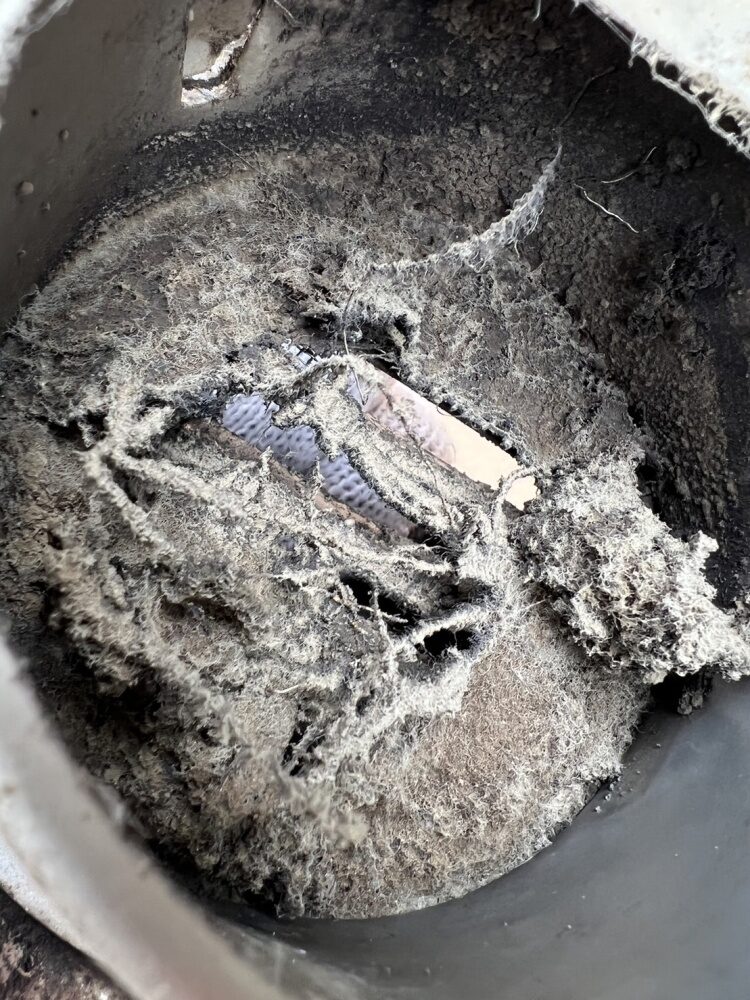 セルフード内部に長年蓄積した油分とホコリ