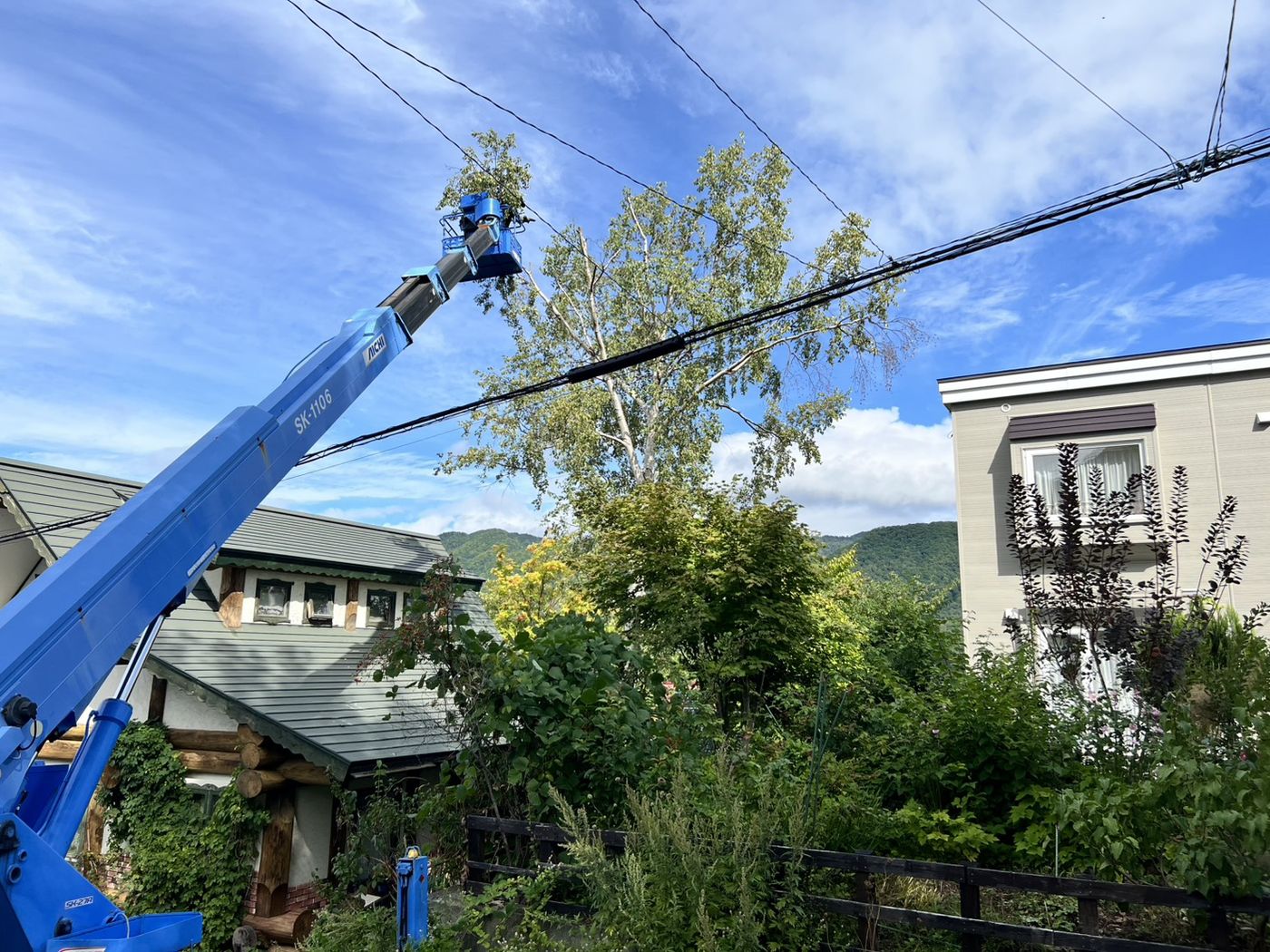 札幌市南区 樹木の伐採
